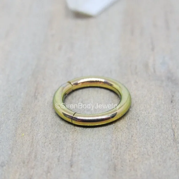 Earrings SirenBodyJewelry Titanium hinged segment piercing ring 14g 51612 hoop ear septum nipple rings