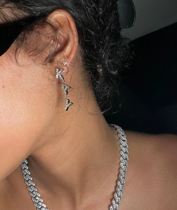 CharmBox Earrings Custom Drop Earrings