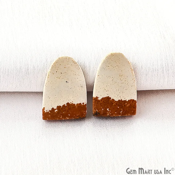 Earrings GemMartUSA Picture Jasper Free Form Shape 20x14mm Loose Gemstone For Earring Pair