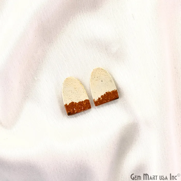 Earrings GemMartUSA Picture Jasper Free Form Shape 20x14mm Loose Gemstone For Earring Pair