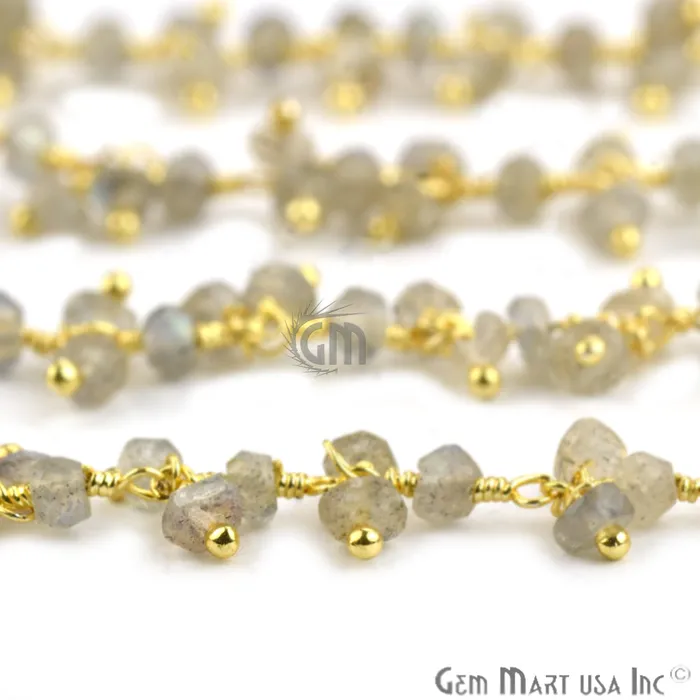 GemMartUSA Charm Necklaces Labradorite Faceted Cluster Beads Gold Wire Wrapped Dangle Rosary Chain
