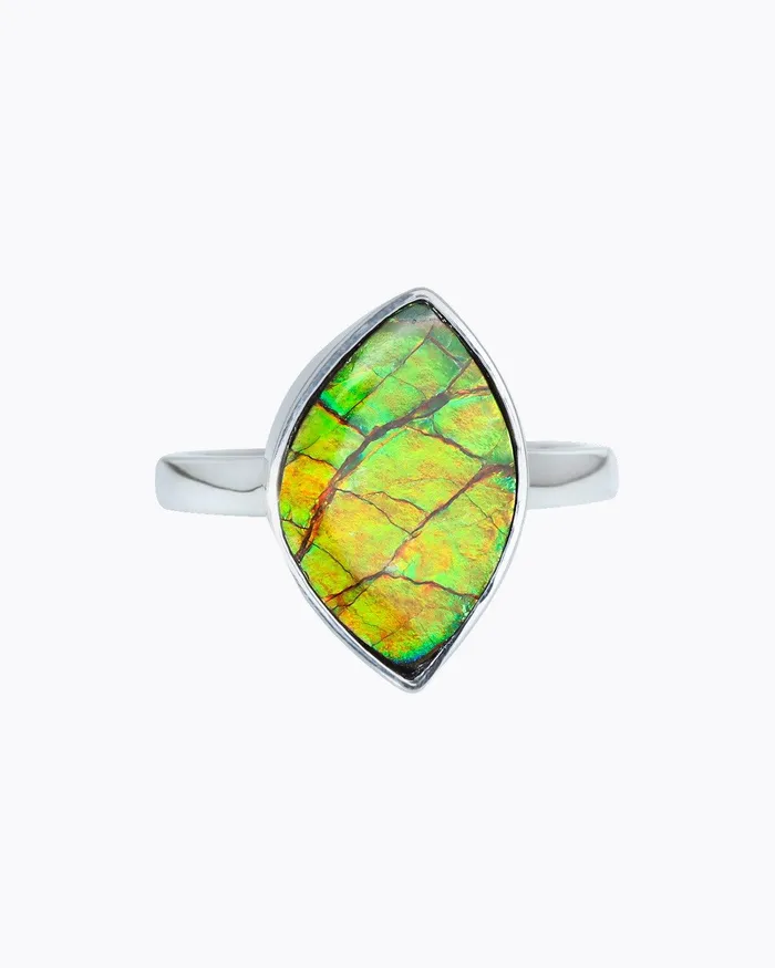 YoTreasure Rings 6 Ct Ammolite Ring 925 Sterling Silver Gemstone Jewelry YoTreasure Rings 6 Ct Ammolite Ring 925 Sterling Silver Gemstone Jewelry