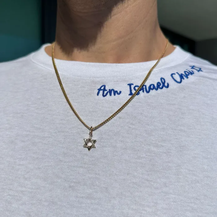 Charm Necklaces Izakov Diamonds Fine Jewelry 14K Gold Half Pave Diamond Star of David Charm