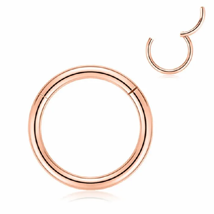 Earrings Glitters 16 Gauge Hinged Segment Hoop Rings Bundle Rose Gold