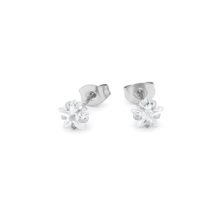 Earrings Glitters Star CZ Stainless Steel Stud Earrings