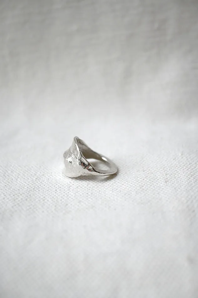 Ring No 01 Silver Eline Fach Rings
