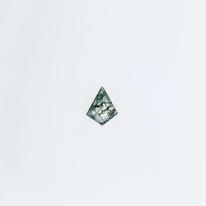 VENVS The Estelle 14k White Size 8 Stone MOS8 Rainforest Ring Box Custom Engraving 0 Rings VENVS The Estelle 14k White Size 8 Stone MOS8 Rainforest Ring Box Custom Engraving 0 Rings